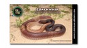 LARE Coachwhip Stickers